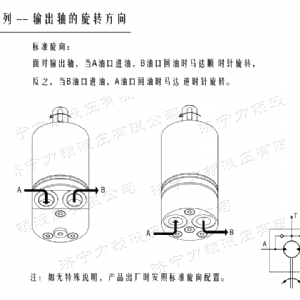火狐在线手机版（大中国区）后油口系列马达