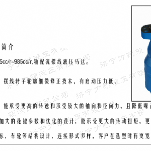 BMH系列并列油口火狐在线手机版（大中国区）马达