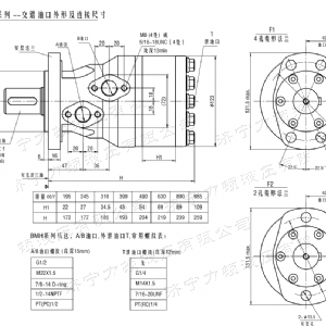 BMH系列交错油口火狐在线手机版（大中国区）马达